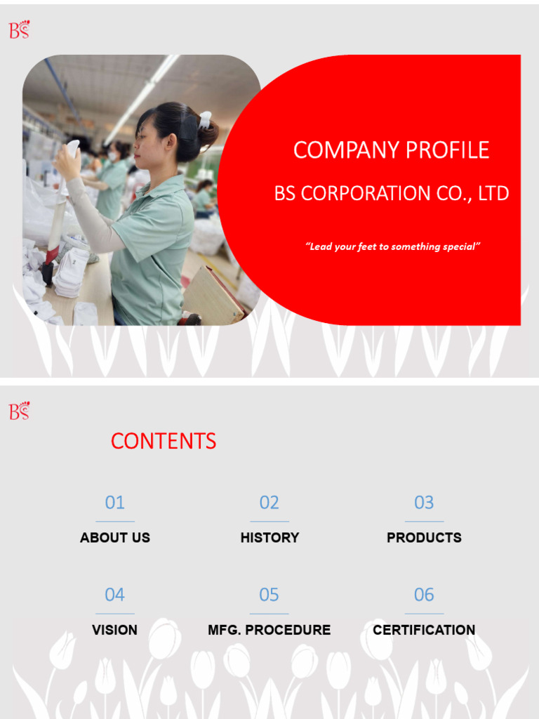 Bs corporation profile pdf