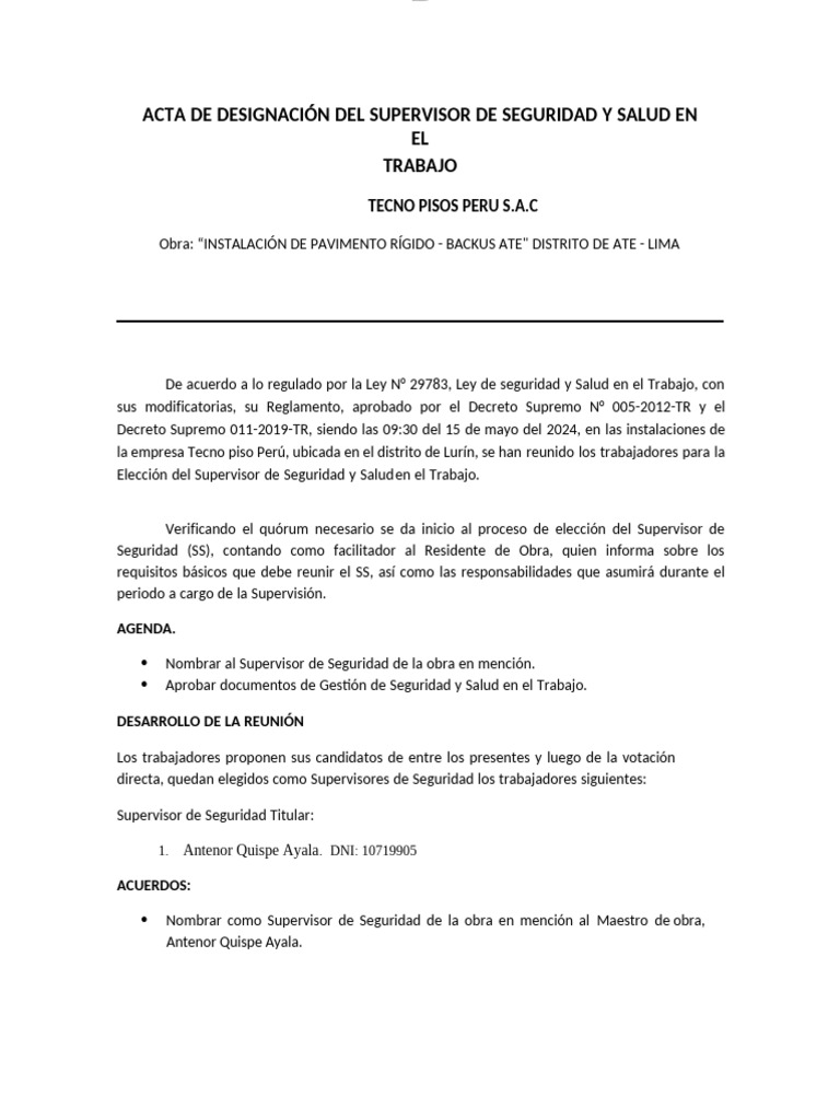 Acta de Designacion Del Supervisor de Seguridad y Salud en El Trabajo | PDF