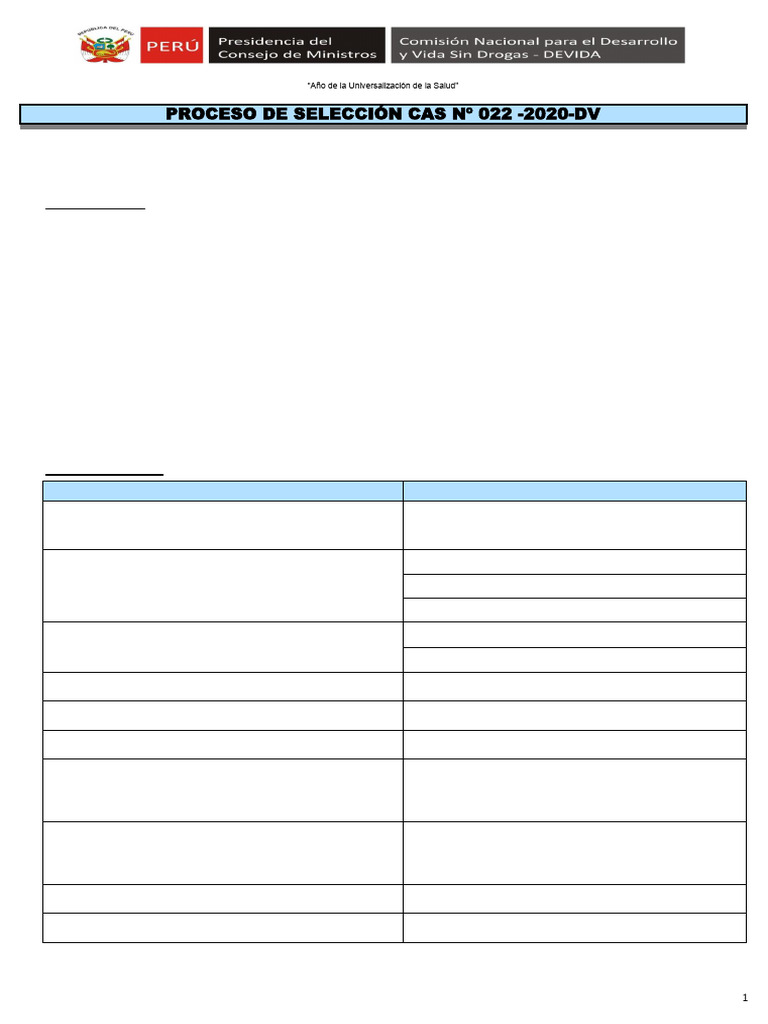 022 Bases Del Proceso de Seleccion Cas | PDF