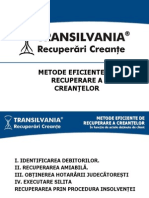 Transilvania Recuperari Creante - Metode Eficiente de Re A Creantelor