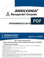 Transilvania Recuperari Creante - Instrumentele de Plata