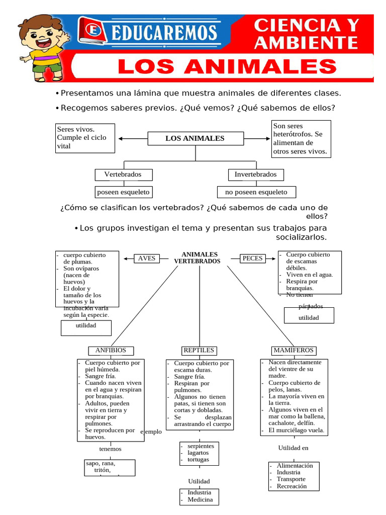 Los Animales - 3ero Científica - Premium | PDF