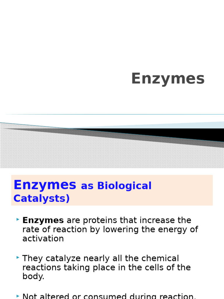 Enzymes Pdf
