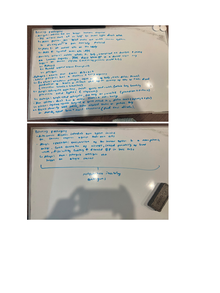 7+8 Notes | PDF