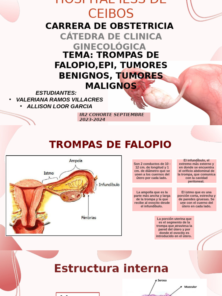 Trompas de Falopio Benignas | PDF