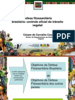 Palestra Defesa fitossanitária brasileira - DSV