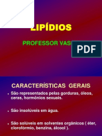 Lipdiosaulapowerpoint 100530095934 Phpapp02