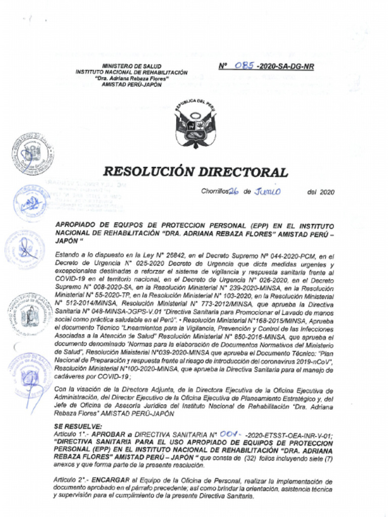 Uso Apropiado de EPP | PDF