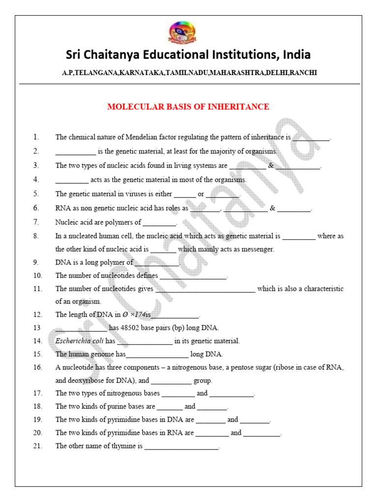 Botany_molecular Basis of Inheritance | PDF