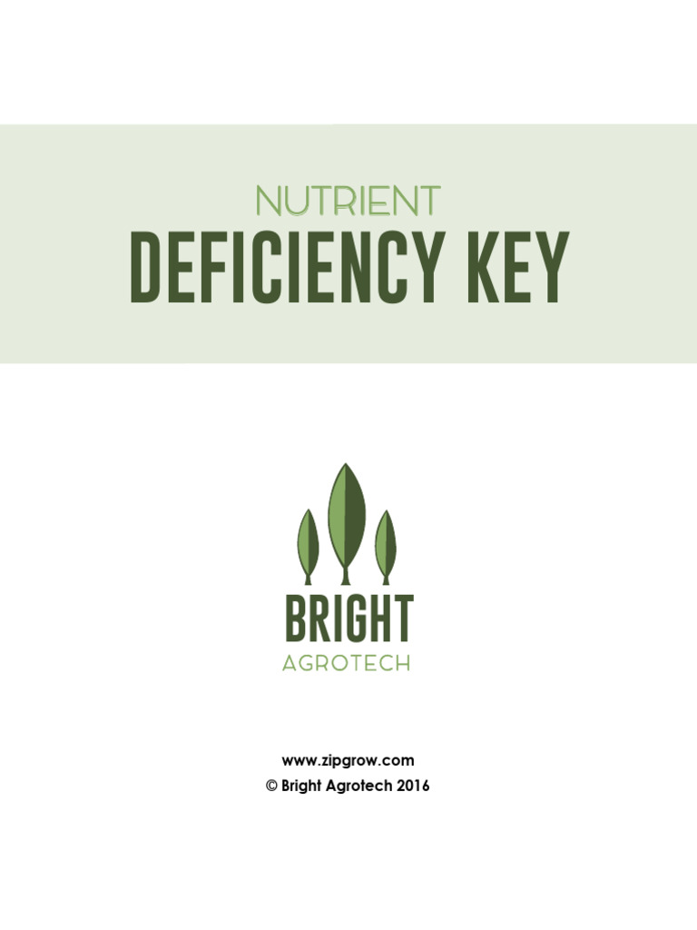 Nutrient Deficiency Key - Bright Agrotech 1 | PDF