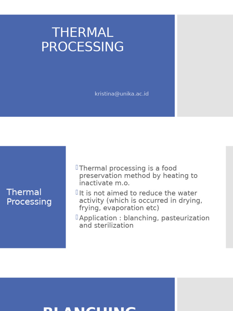 2024 Thermal Processing Pdf