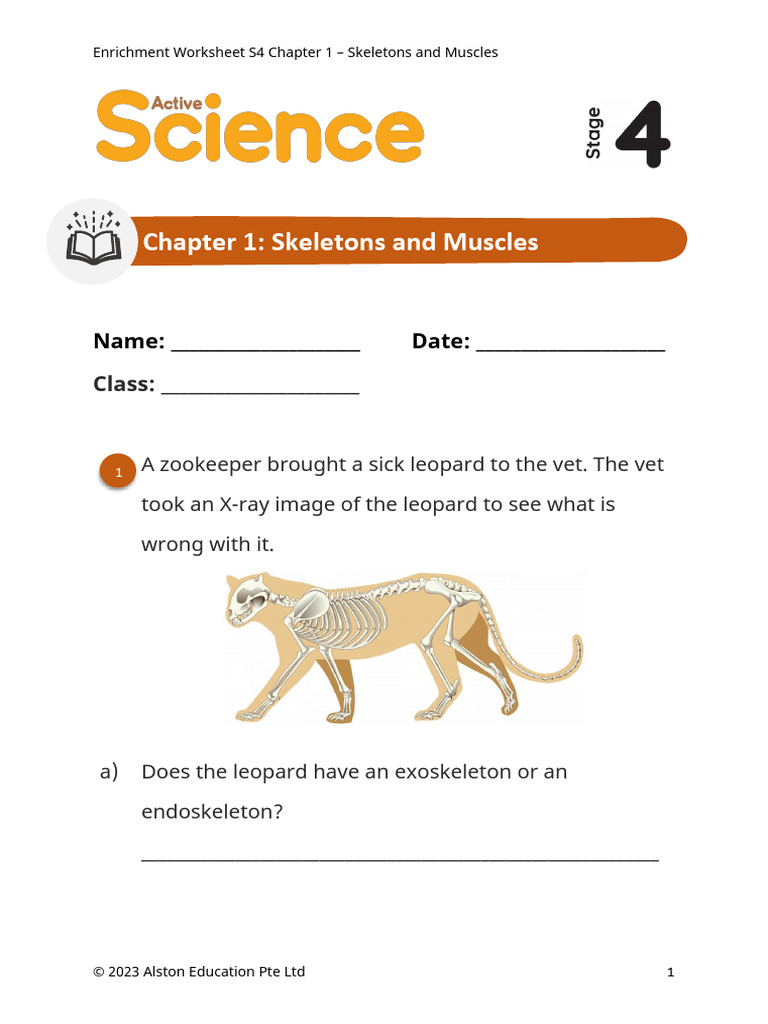 Active Science 4 C1 Enrichment Worksheet 35dcc82052ef1ab | PDF