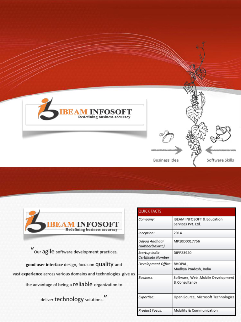 Ibeam Infosoft Portfolio | PDF