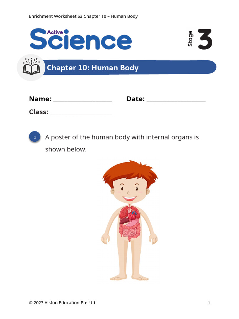 Active Science 3 C10 Enrichment Worksheet 18b2097b5ba70b88 | PDF