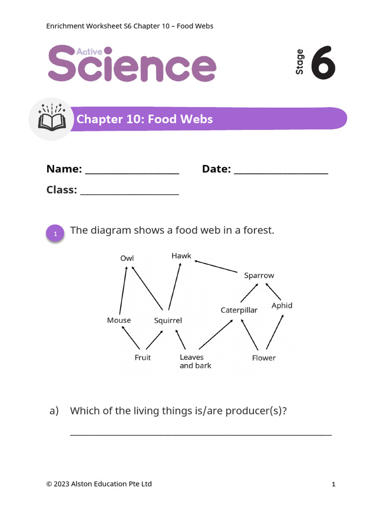 Active Science 6 C10 Enrichment Worksheet 14b98cfe23615207 | PDF