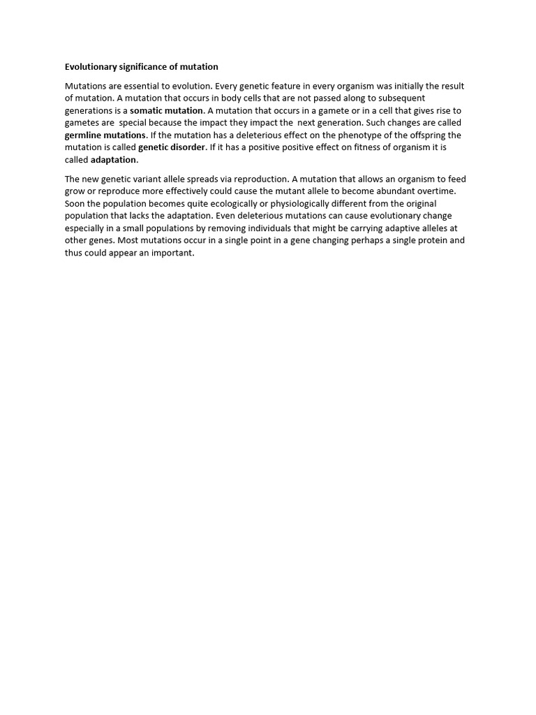 Unwinding with Colleagues: The Evolution and Evolutionary Significance of Happy Hour