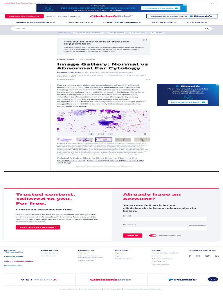 Ear Cytology Image Gallery Clinician's Brief | PDF