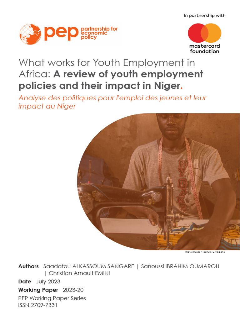 Youth Employment-Niger-Working Paper | PDF
