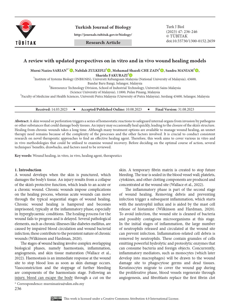 A Review With Updated Perspectives On in Vitro and in Vivo Wound ...