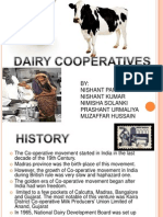 Dairy Cooperatives