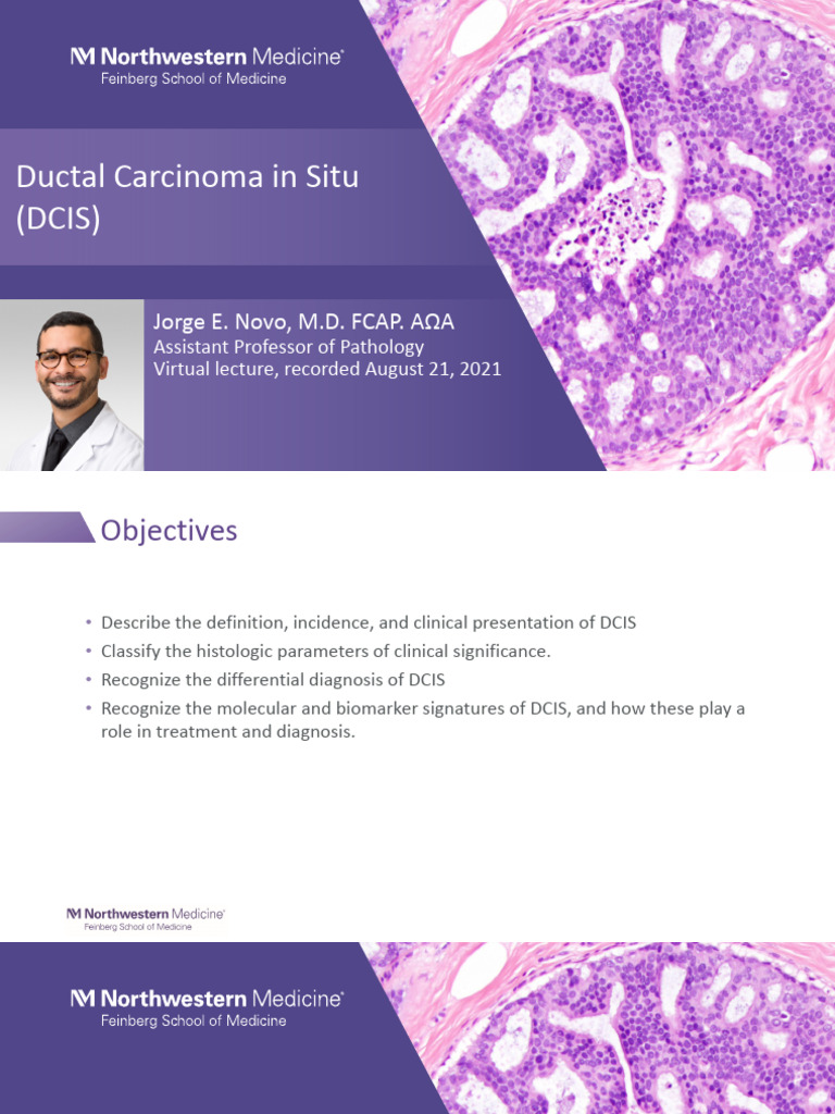 DCIS - Jorge Novo - Slides | PDF