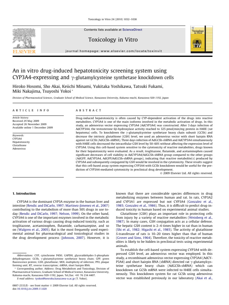 An in Vitro Drug-Induced Hepatotoxicity Screening System Using CYP3A4 ...