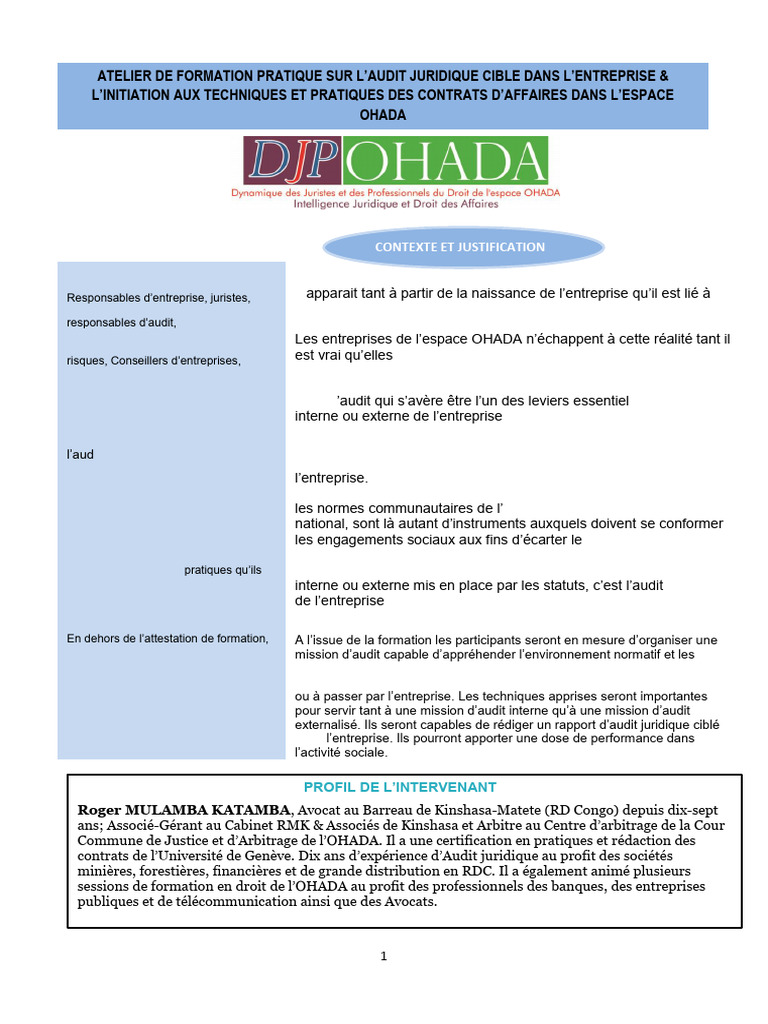 audit-programme-pdf