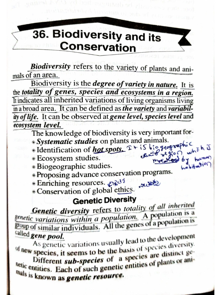 Document 61 | PDF