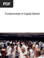 Capital Market Basics 734