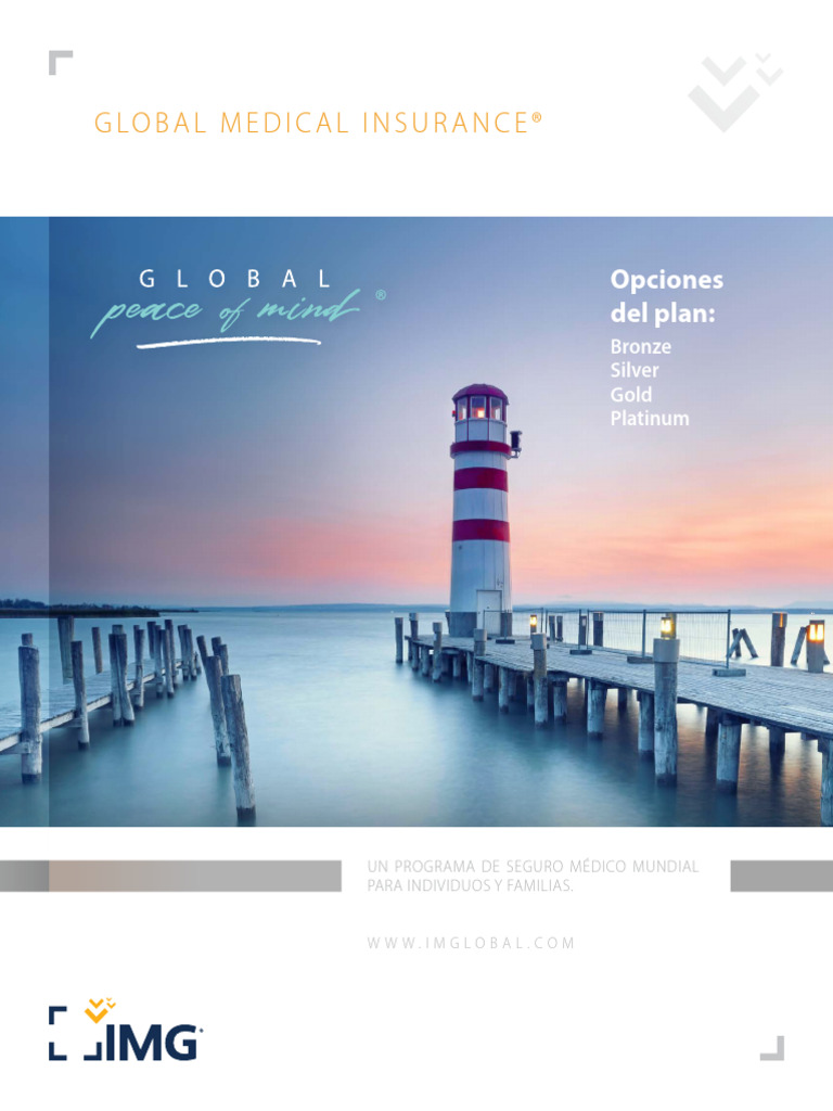 IMG Global Medical | PDF