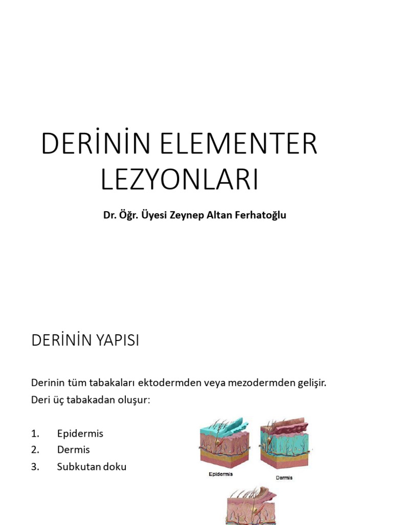1-Elementer Lezyonlar | PDF