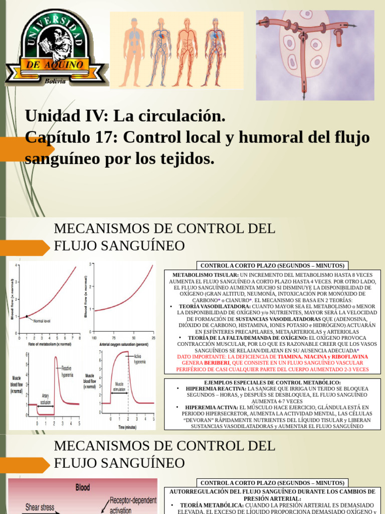 Capitulo 17 Control Local y Humoral Del Flujo Sanguineo Por Los Tejidos ...