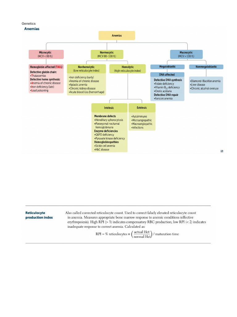 Memorize Step 1 | PDF