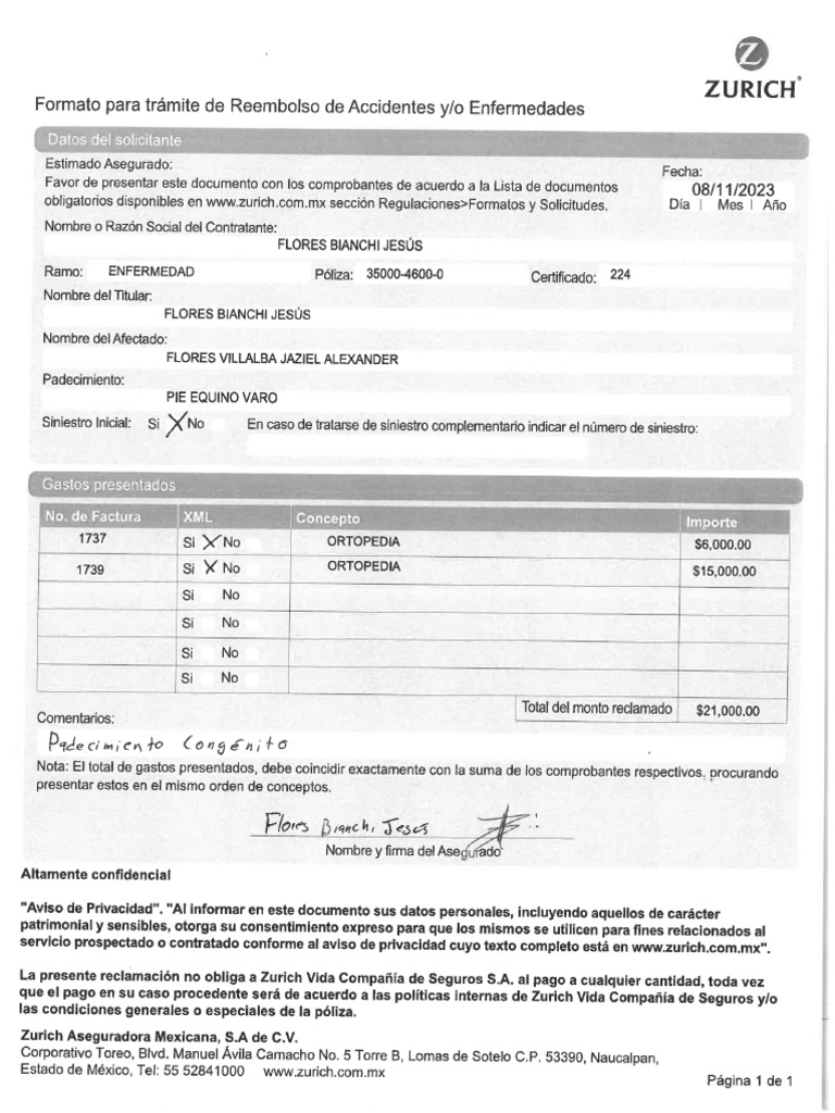 Formato Reembolso | PDF