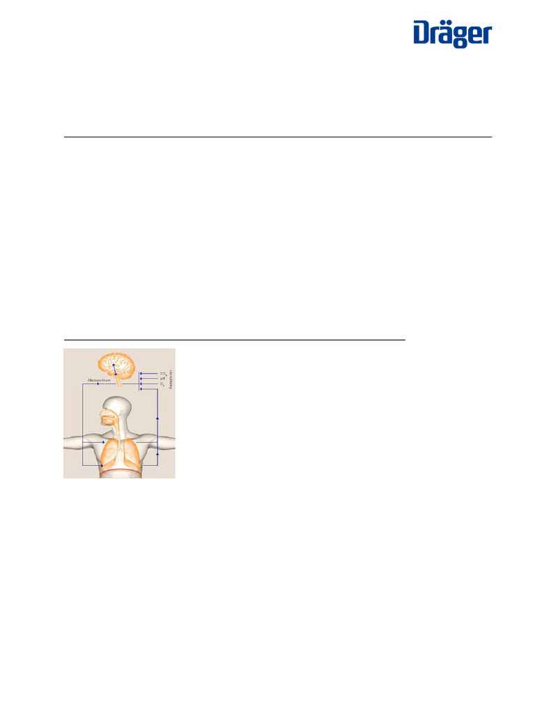 02 Background Lung Ventilation | PDF