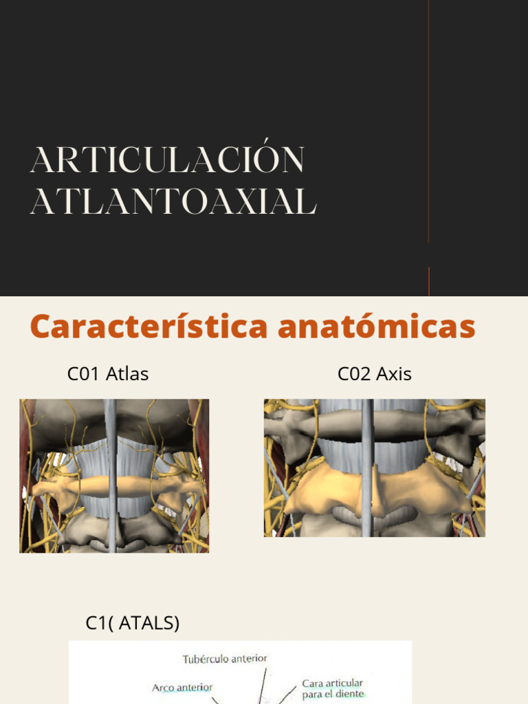 Articulación Atlantoaxial | PDF