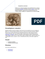 Anatomia craniului