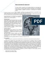 neuroanatomia_basica