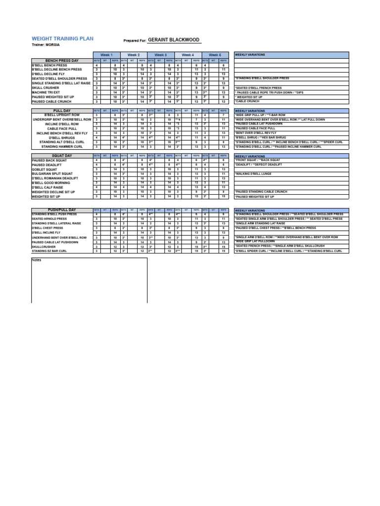 Comprehensive Weight Training Plan | PDF | Weight Training | Home & Garden