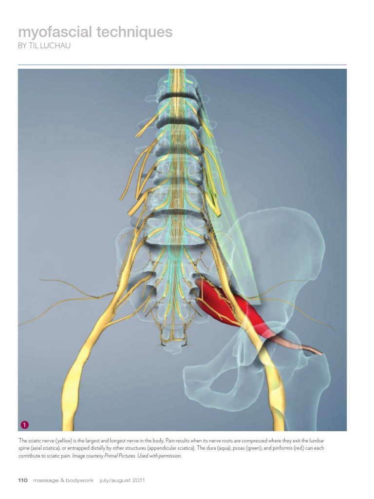 Assessing Sciatica: Lasègue Test Insights | PDF | Musculoskeletal ...