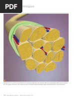 Download Assessing Sciatic Nerve Glide Part II Myofascial Techniques by Advanced-Trainingscom SN76170356 doc pdf
