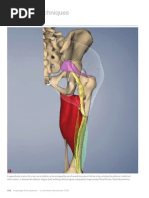 Download Working with Appendicular Sciatica Part III Myofascial Techniques by Advanced-Trainingscom SN76170550 doc pdf
