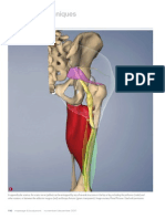 Working with Appendicular Sciatica, Part III (Myofascial Techniques)