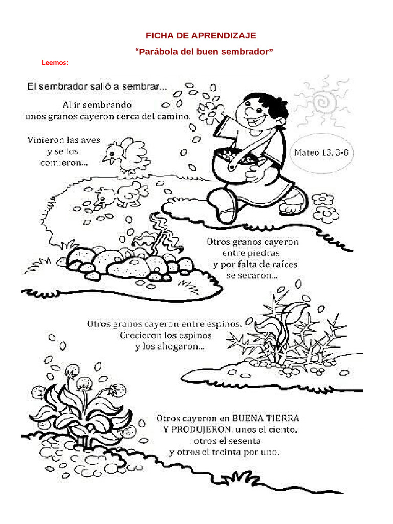 ficha-e-r-23-08-24-parabola-del-buen-sembrador-pdf