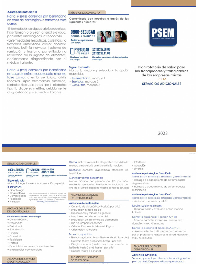 PSEM Servicios Adicionales | PDF