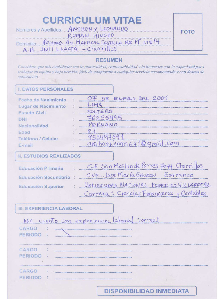 CV1 1 | PDF