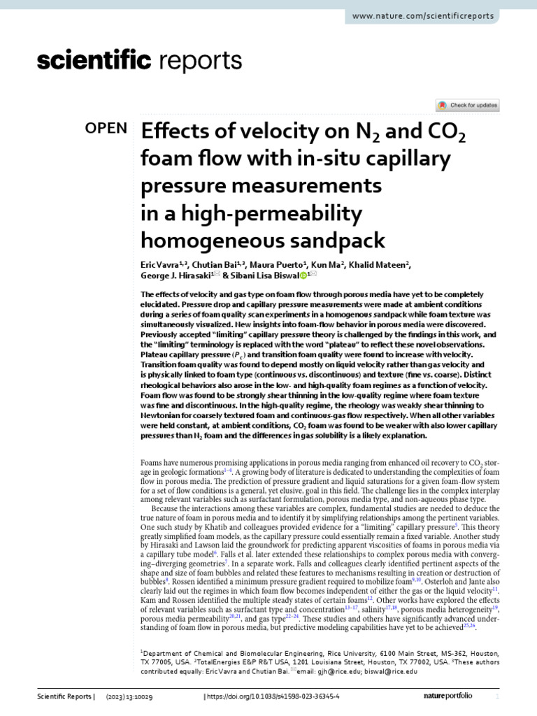 Effects of Velocity On N2 and CO2 Foam F | PDF | Foam | Flow Measurement
