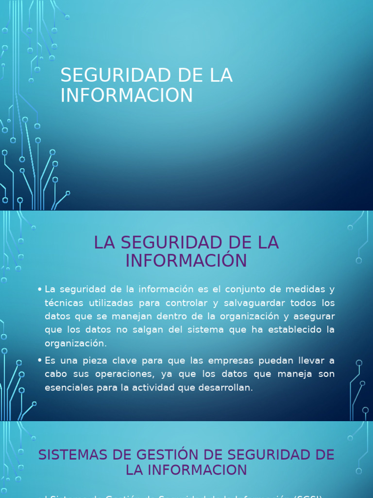 Seguridad de La Información | PDF