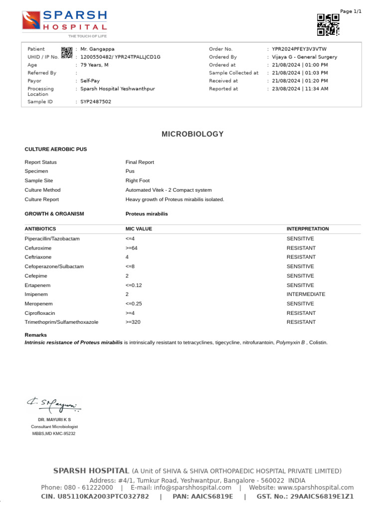 YPR2024PFEY3V3VTW | PDF