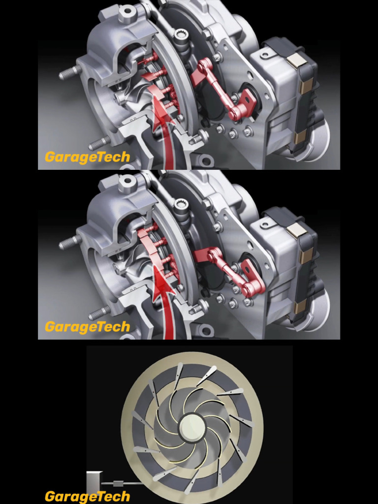 VGT | PDF